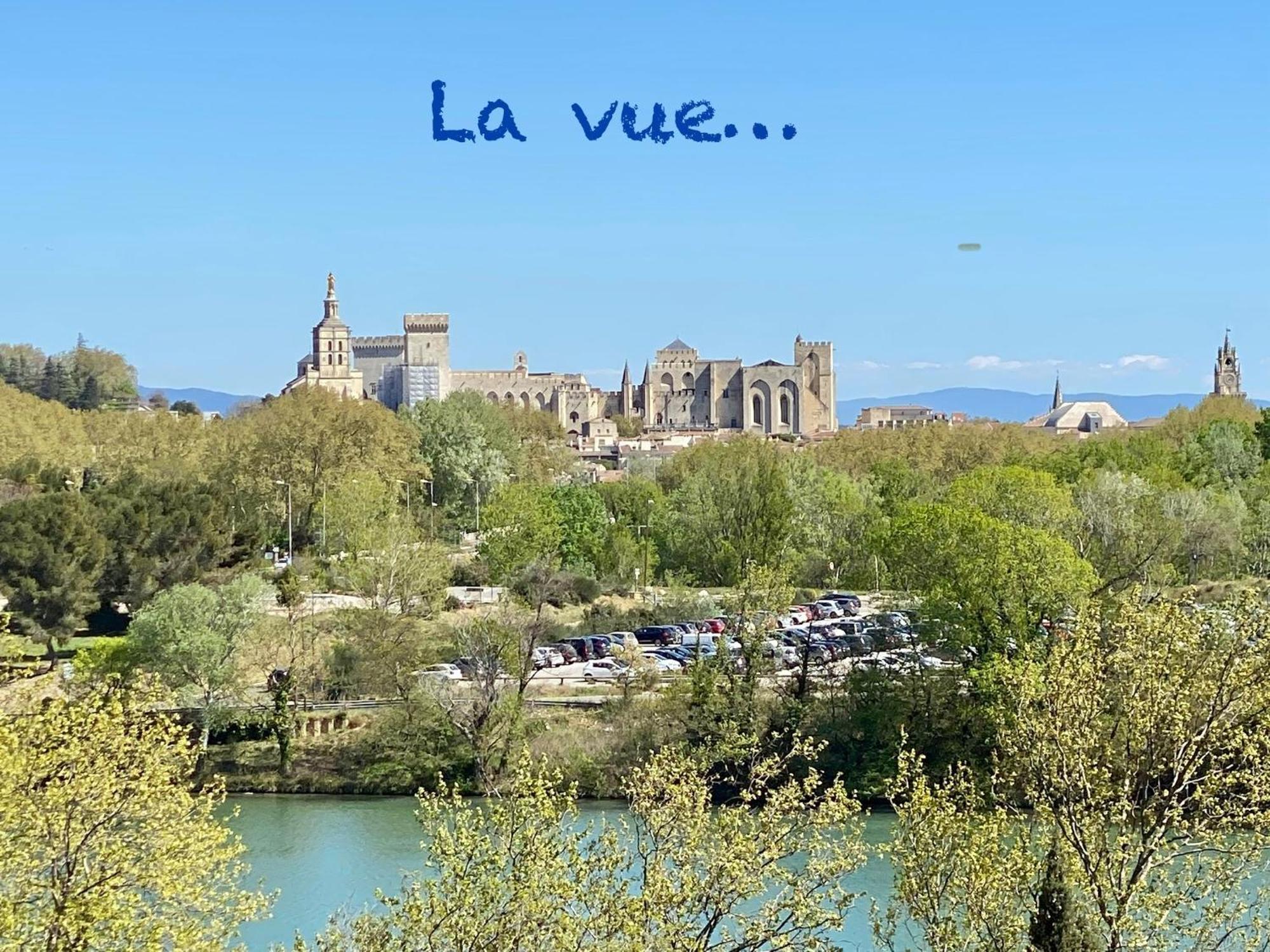 Apartmán Duplex Face Au Palais Des Papes Villeneuve-lès-Avignon Exteriér fotografie